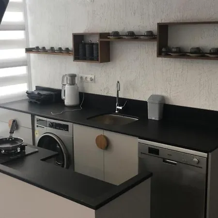 Arti Suites Fethiye 107 公寓 费特希耶