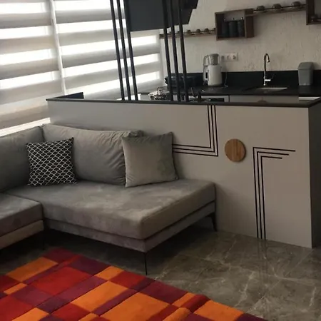 Apartment Arti Suites Fethiye 107 *